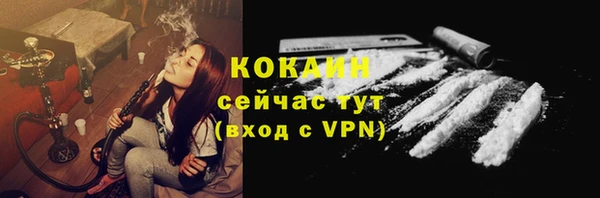 таблы Богородицк