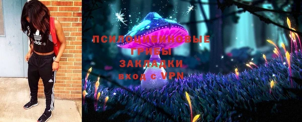 прущий лед Белокуриха