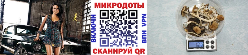 Галлюциногенные грибы мицелий Юрга